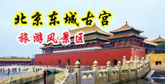 骚逼欠操视频中国北京-东城古宫旅游风景区